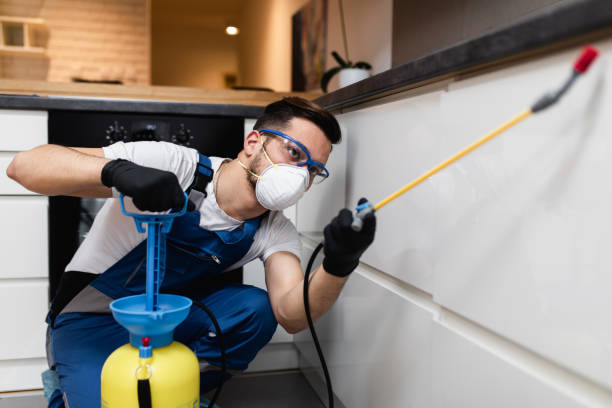 Reliable Tarrant, AL Pest Control Solutions